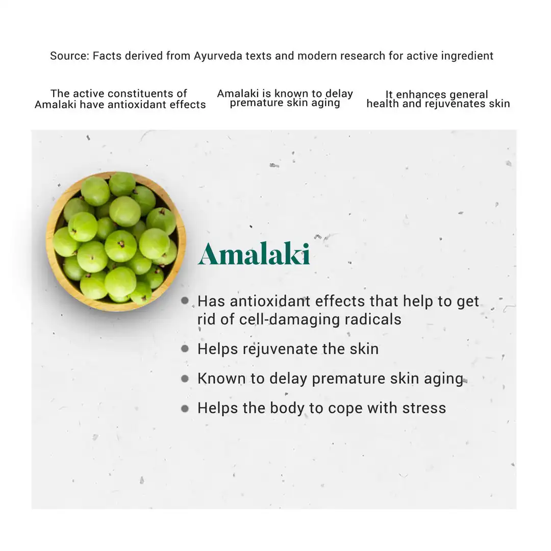 Himalaya Amalaki - Image 4
