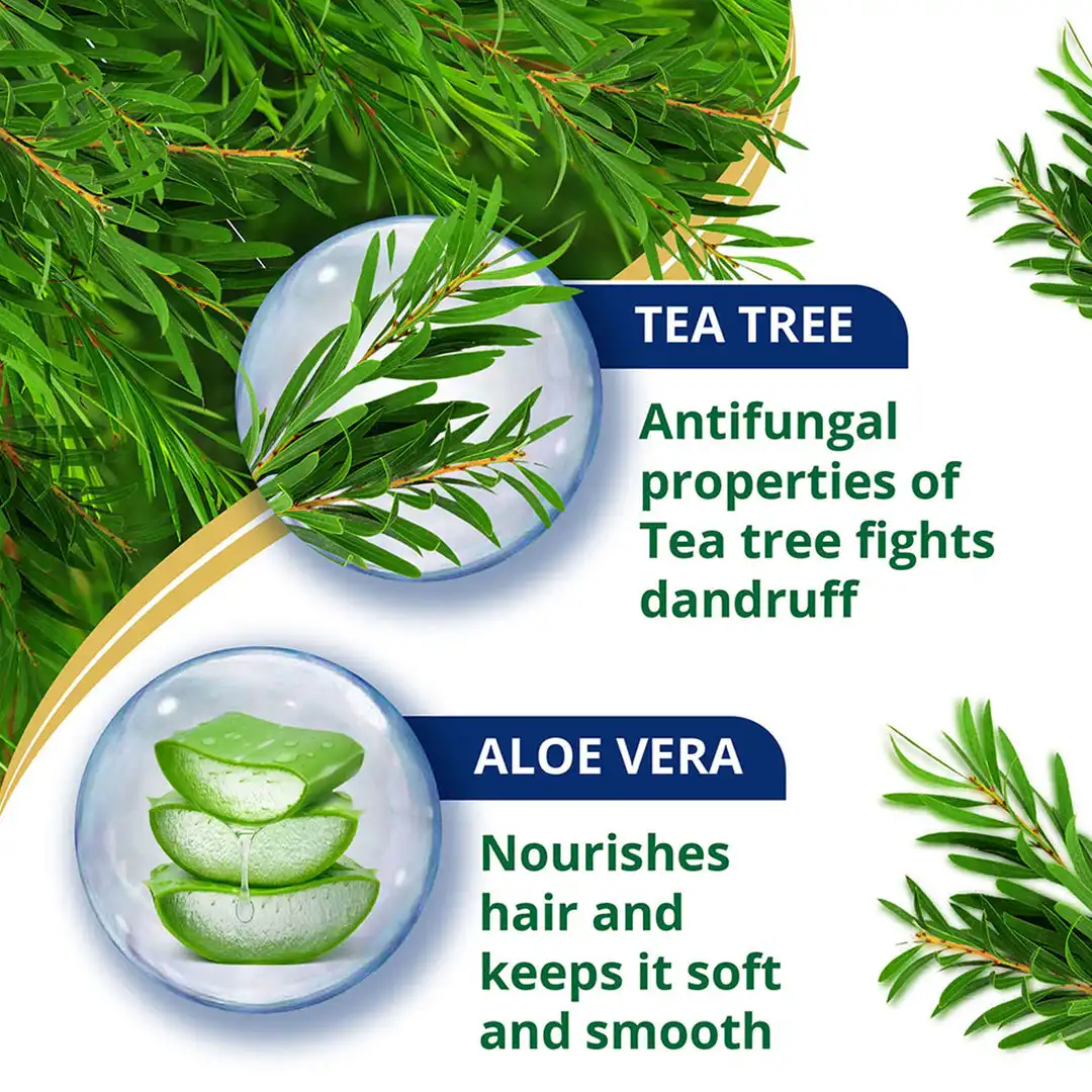 Himalaya-Anti-Dandruff-Tea-Tree-Conditioner-80-ml-3.webp