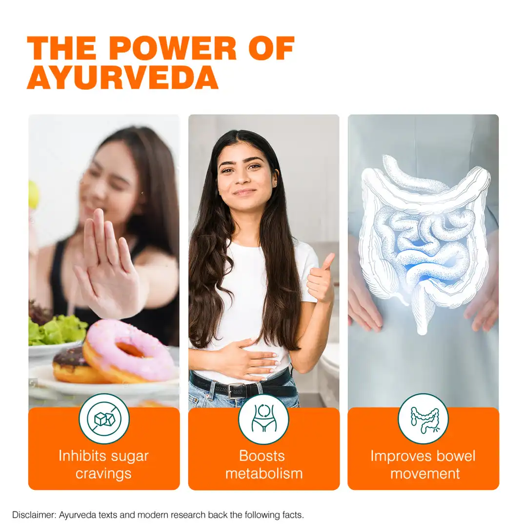 Himalaya Ayurslim Capsules - Image 4