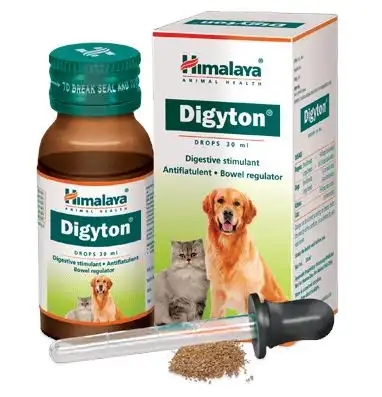 Himalaya-Digyton-Drops-30-ml-1.webp