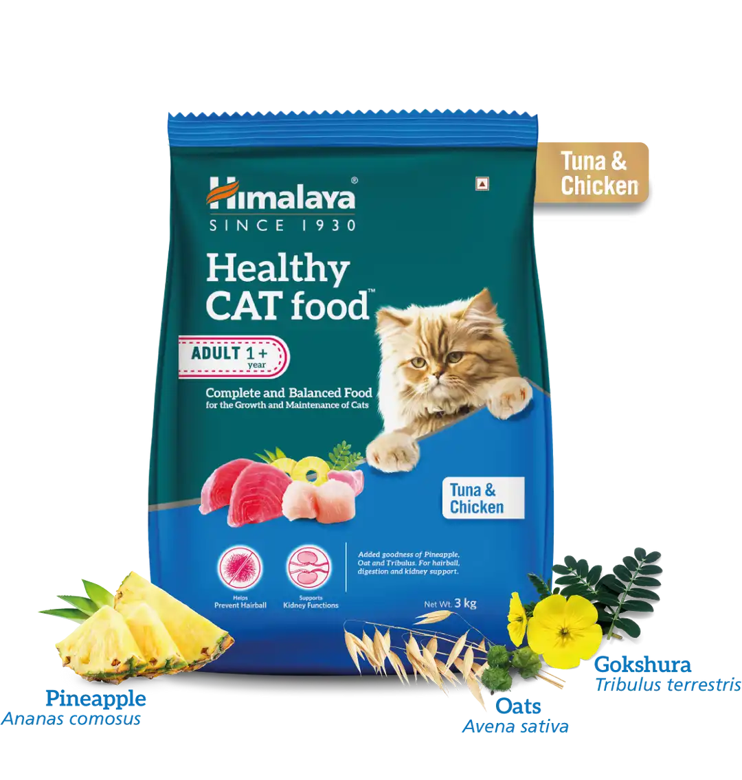 Himalaya-Healthy-CAT-food-Adult---Tuna-and-Chicken-50-g-1.webp
