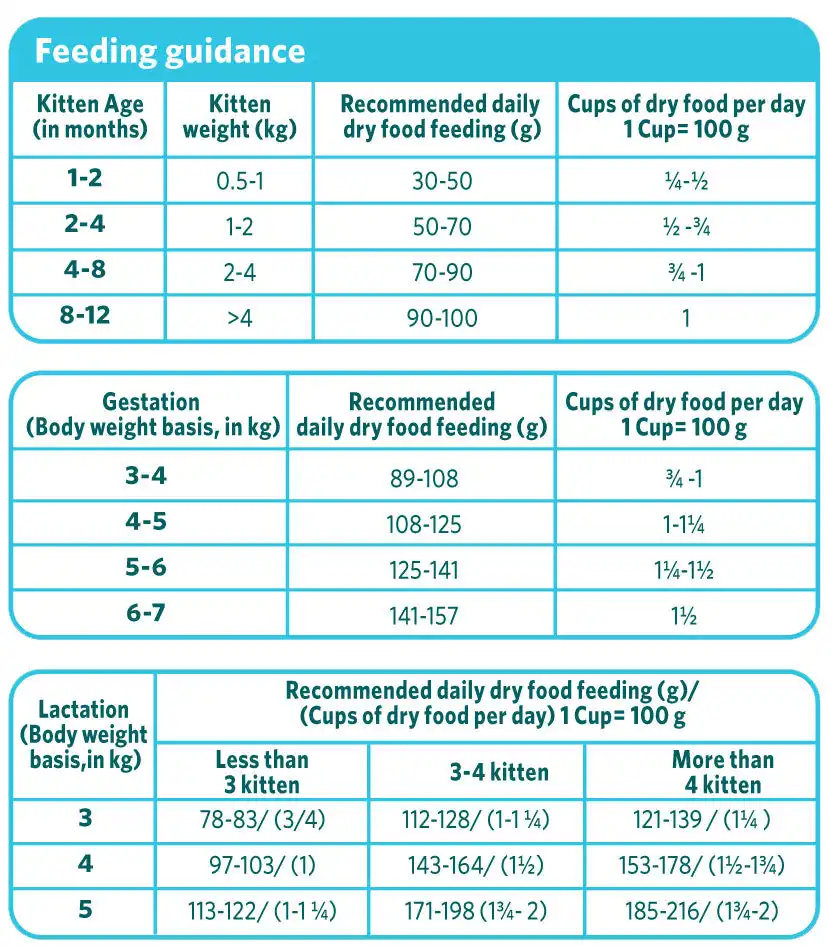 Himalaya Healthy CAT food Kitten - Ocean Fish and Chicken - Image 4