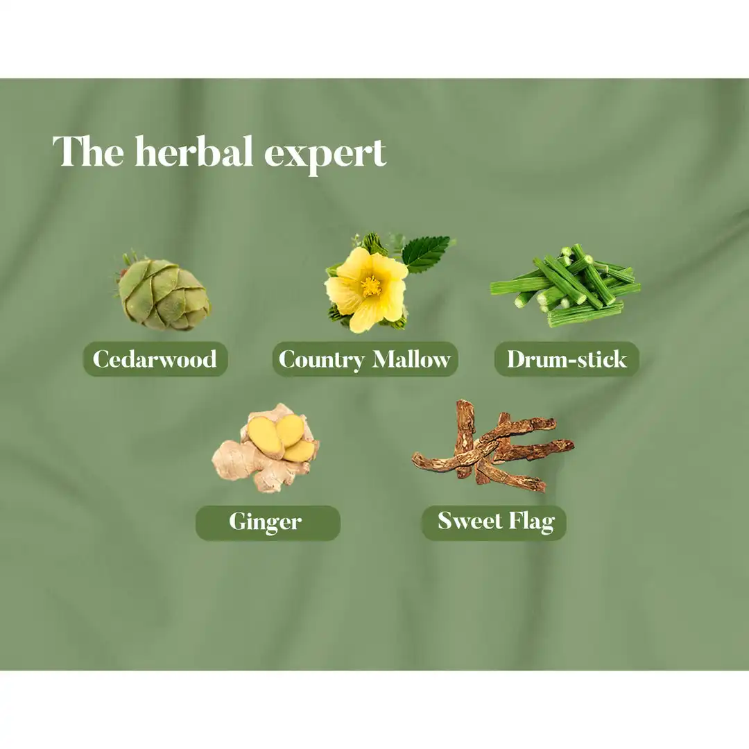 Himalaya Pain Relief Oil - Image 4