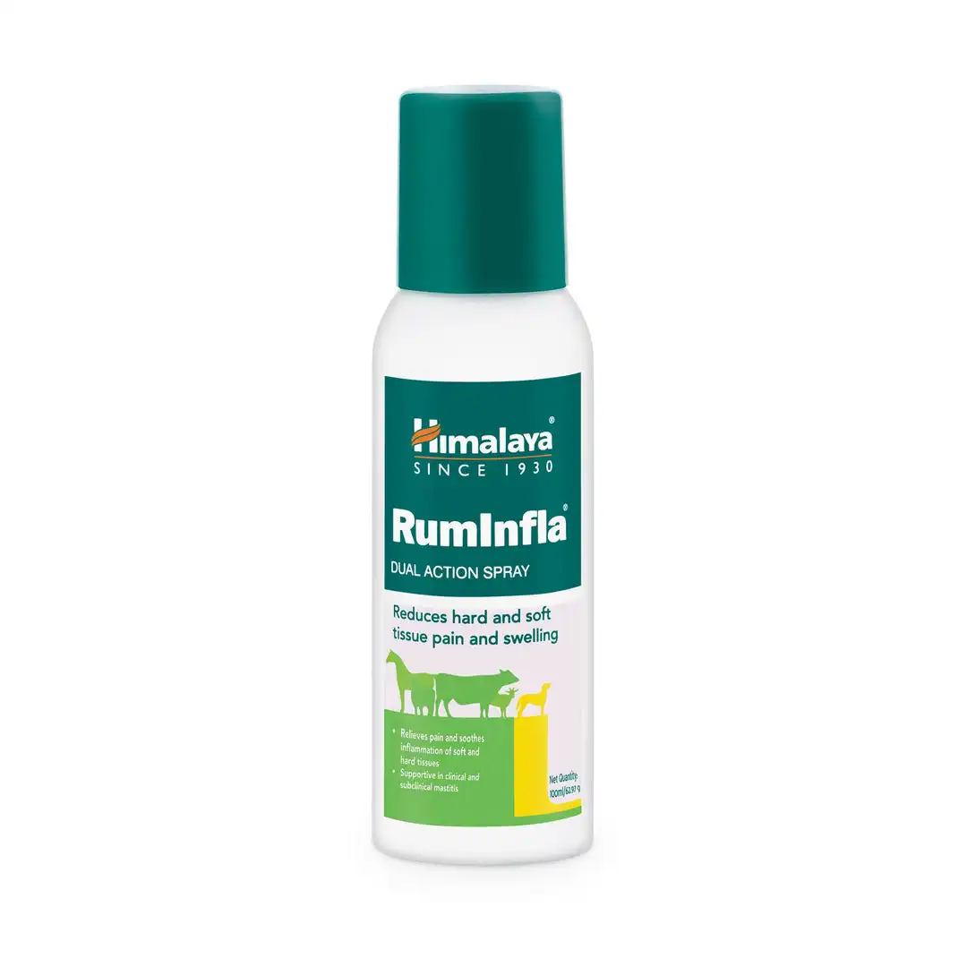 Himalaya RumInfla