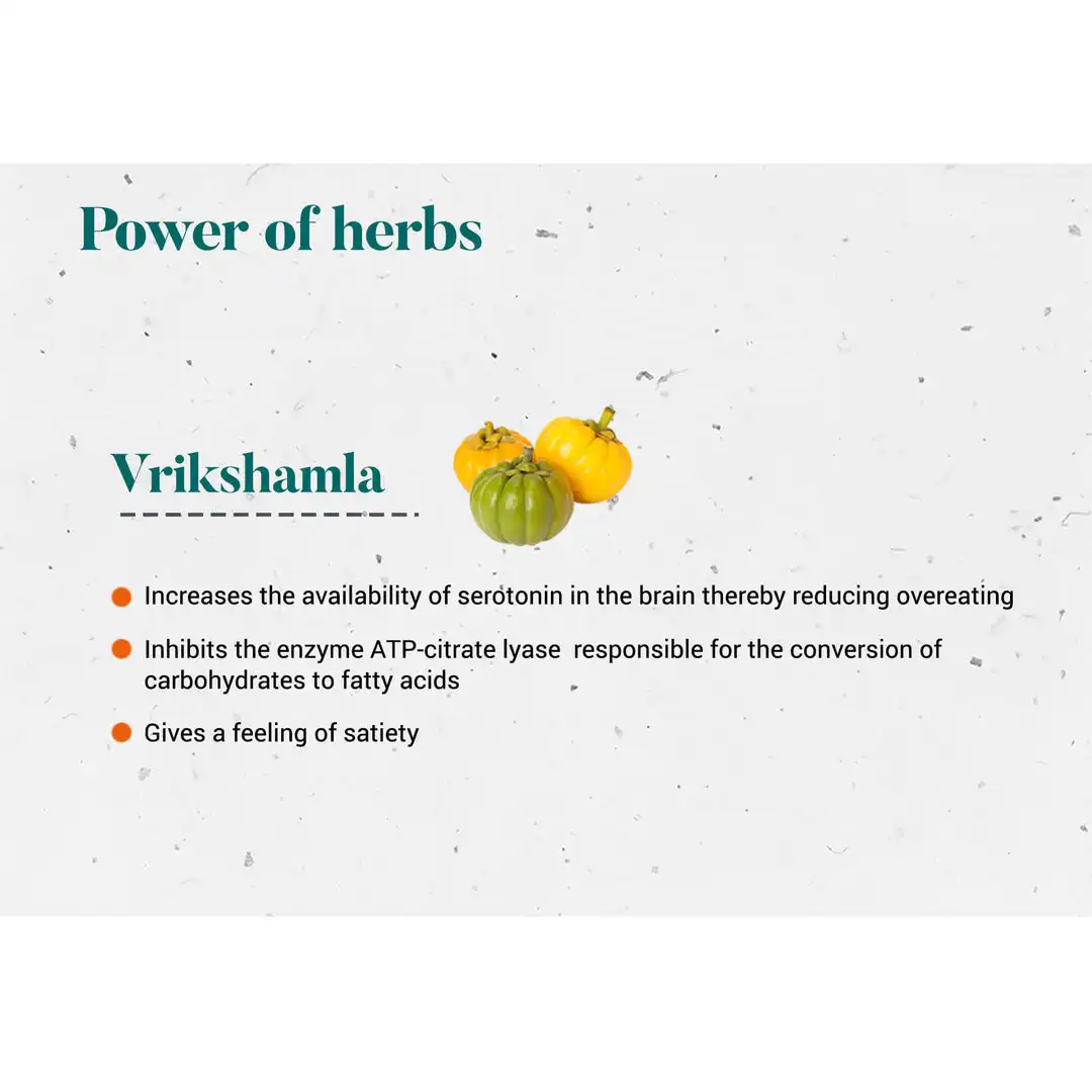 Himalaya-Vrikshamla-60-Tablets-4.webp