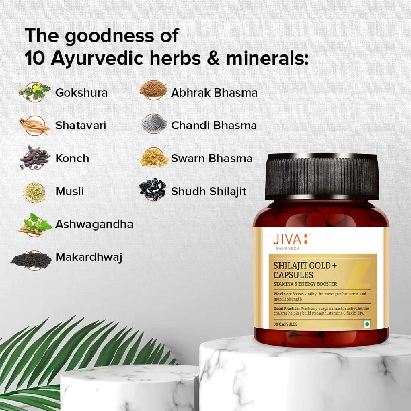 Jiva Ayurveda Gold SJ Tablet - Image 7