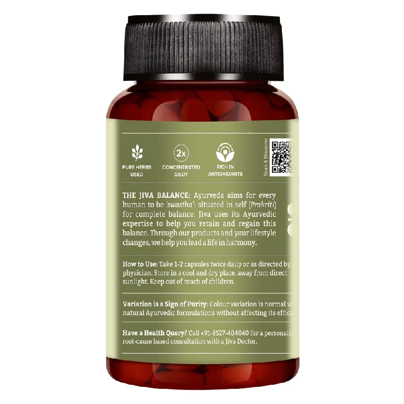 Jiva Ayurveda Immunity Booster Chyawanprash 1 kg, Turmeric 60 Capsule, Aloe Vera Juice 500 ml & Giloy 60 Capsule - Image 4