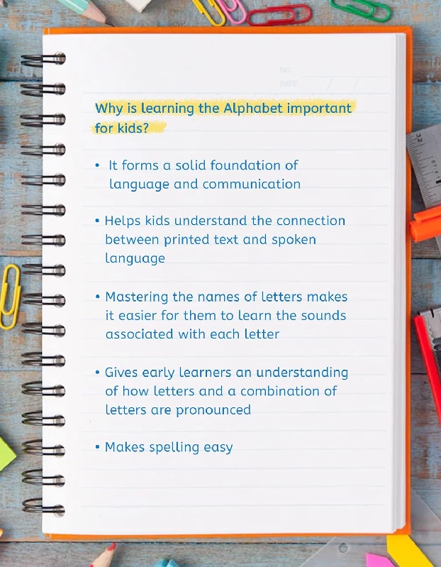 Jumbo English Alphabet and Numbers Chart for Kids - Image 8