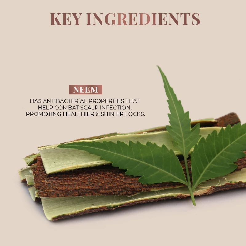 Just Herbs Handmade Wooden Neem Comb for Hair Growth and Hairfall Control for Men & Women - Image 6