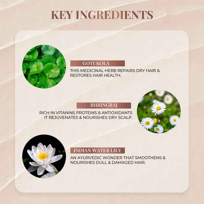 Just Herbs Indian White Waterlily Silicone-Free Conditioner - Image 6