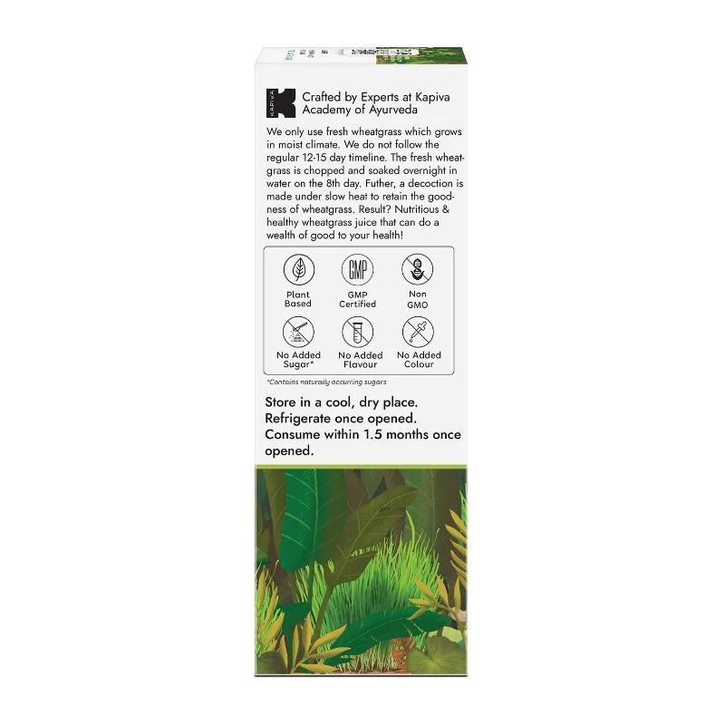 Kapiva Ayurveda Wheatgrass Juice (Ayurvedic Juice for Detoxification) - Image 11