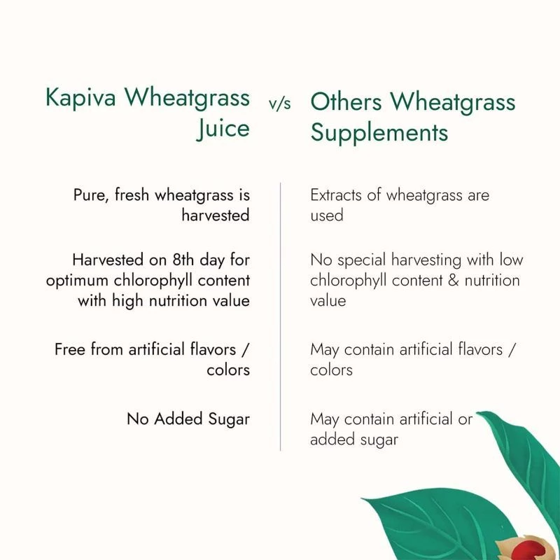 Kapiva Ayurveda Wheatgrass Juice (Ayurvedic Juice for Detoxification) - Image 4