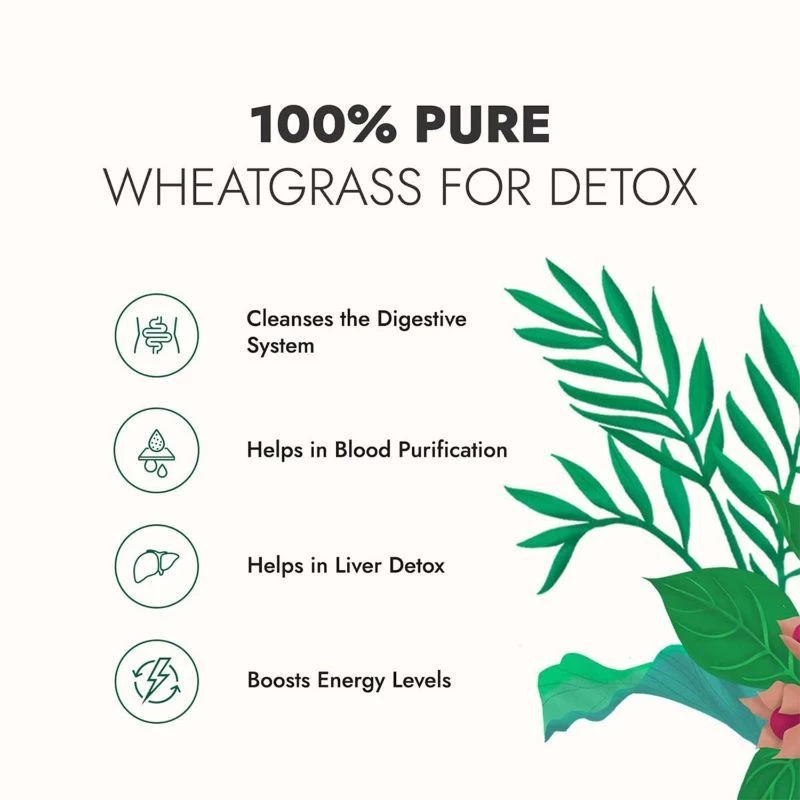 Kapiva Ayurveda Wheatgrass Juice (Ayurvedic Juice for Detoxification) - Image 5
