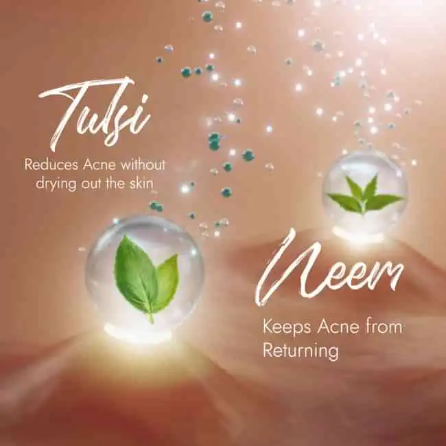 Kapiva Acne Control Tulsi Face Wash - Image 4