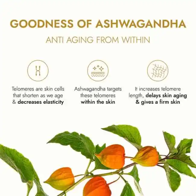 Kapiva-Ashwagandha-Anti-Aging-Face-Oil-30-ml-5.webp