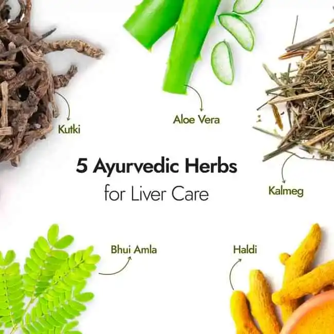 Kapiva Liver Care Juice - Image 3