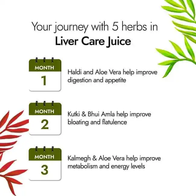 Kapiva Liver Care Juice - Image 4