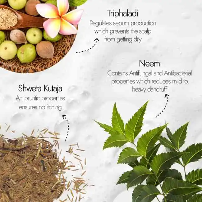 Kapiva-Neem-Dandruff-Shampoo-250-ml-4.webp