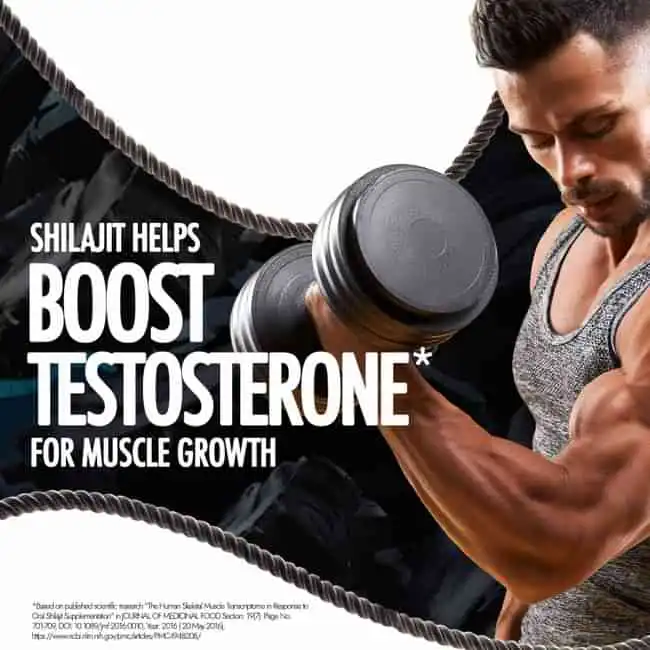 Kapiva Testofuel Shilajit Whey Protein (Chocolate) - Image 2
