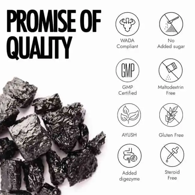 Kapiva Testofuel Shilajit Whey Protein (Cookies & Cream) - Image 6