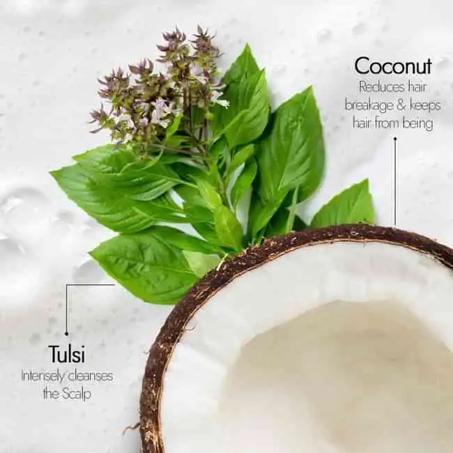 Kapiva Tulsi Anti Hairfall Shampoo - Image 6