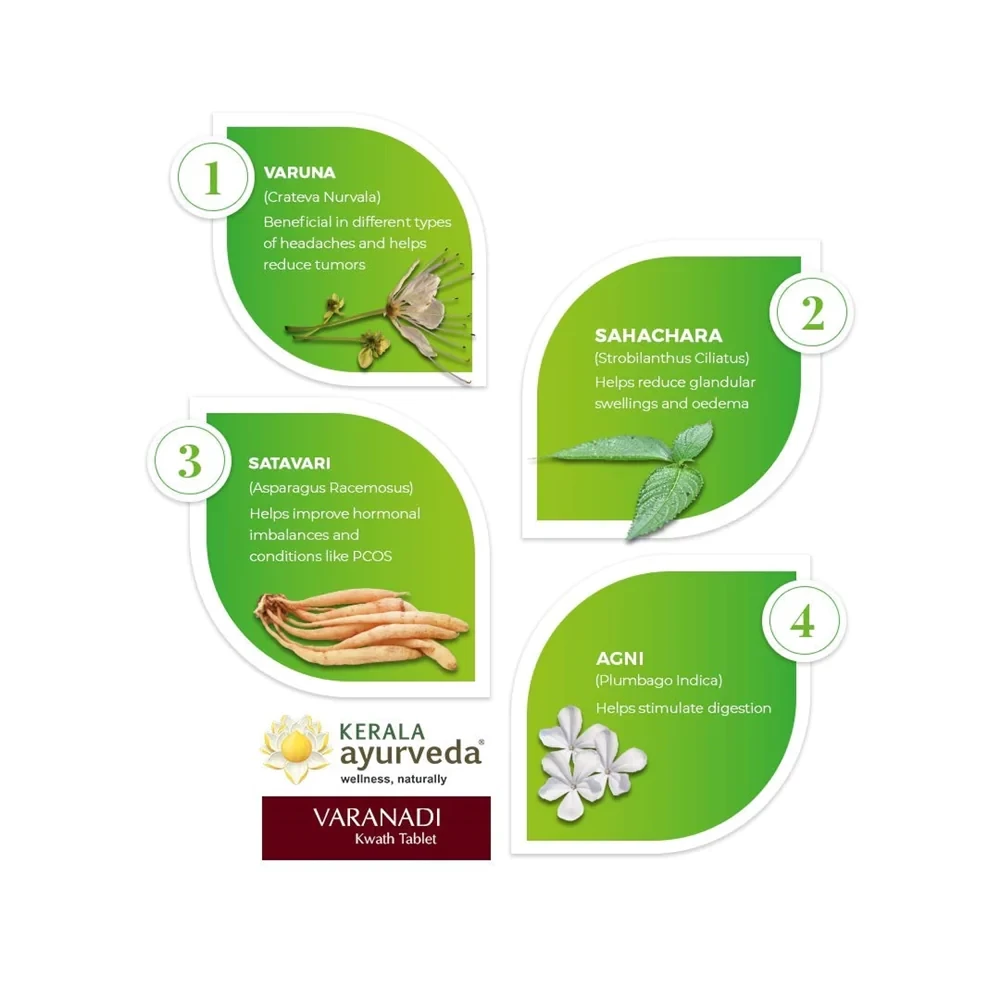 Kerala Ayurveda Varanadi Kwath Tablet - Image 4