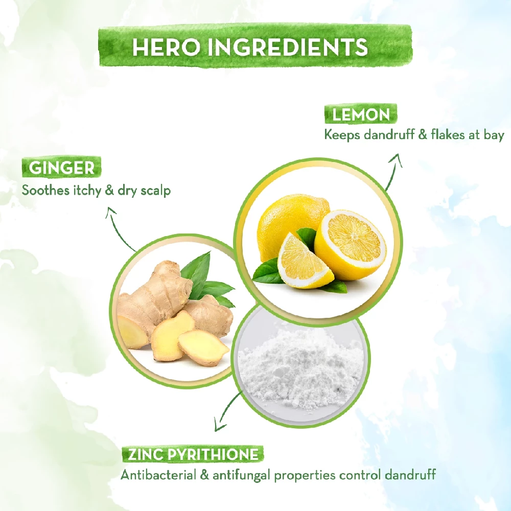 Lemon Anti-Dandruff Shampoo with Lemon & Ginger for up to 100% Dandruff & Itch-free Scalp - Image 2