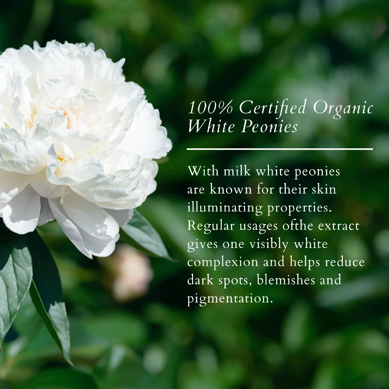 Lotus Organics Precious Brightening Face Exfoliator - Image 5