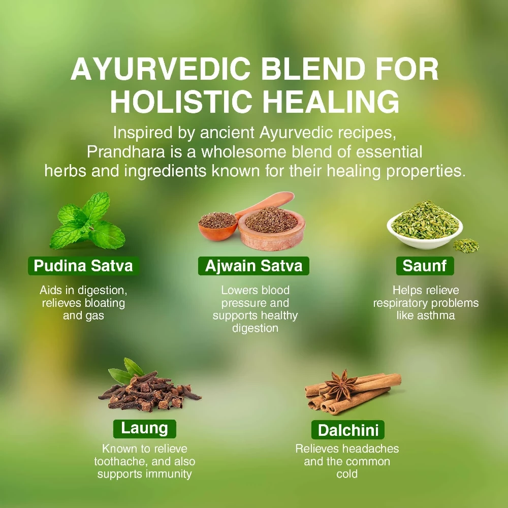Maharishi Ayurveda Prandhara Oil - Image 2