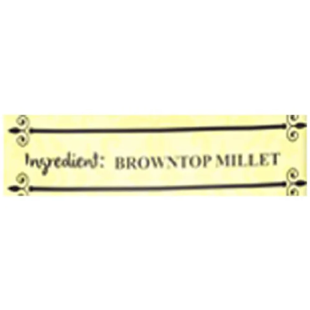 Manna Browntop Millet - Rich In Protein, Gluten Free - Image 3