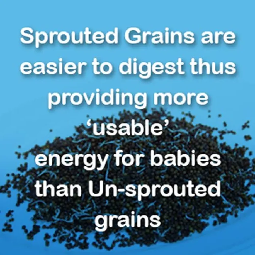 Manna Ragi Rich Baby Cereal For 6+ Months - Image 5