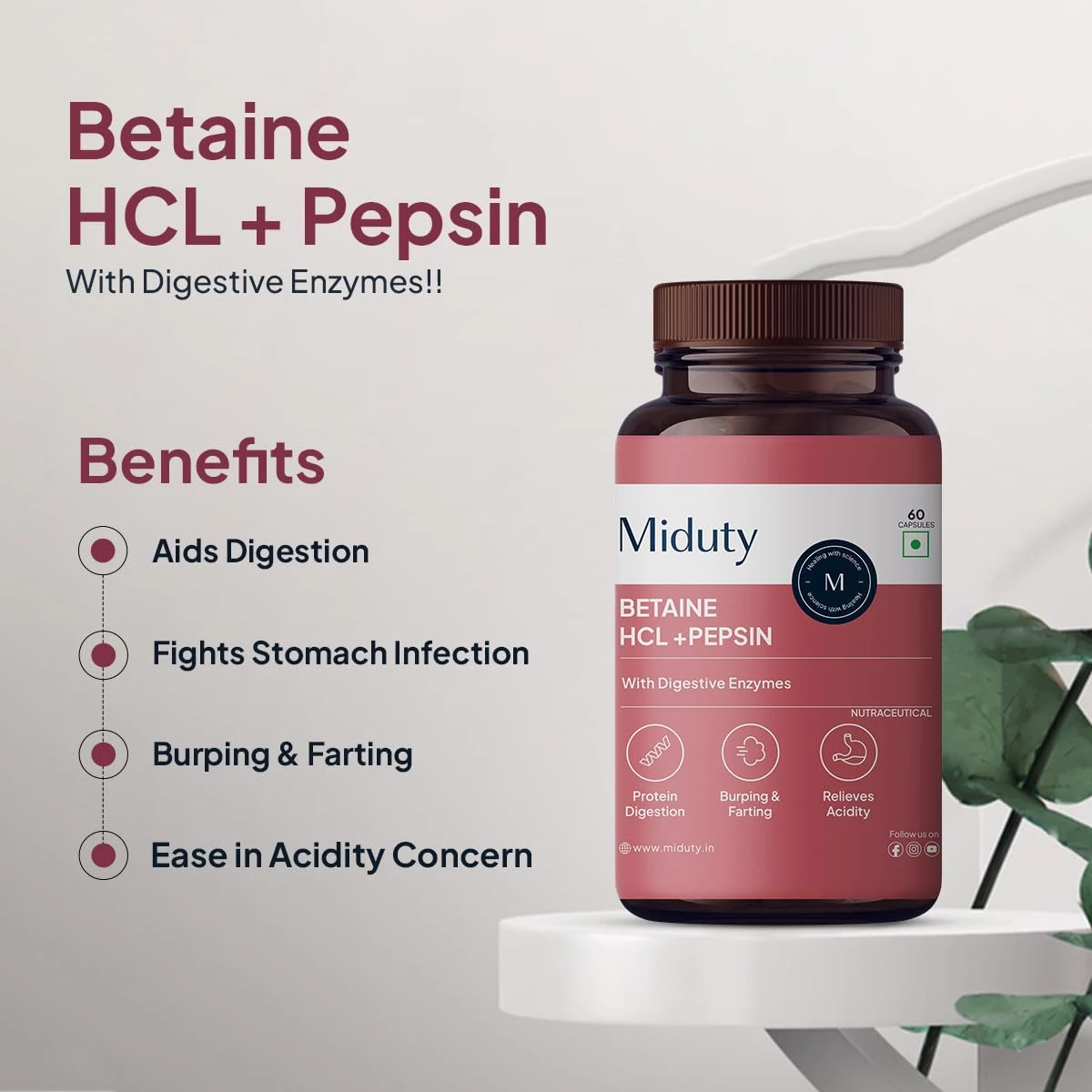 Miduty Betaine HCL + Pepsin Capsule - Image 2