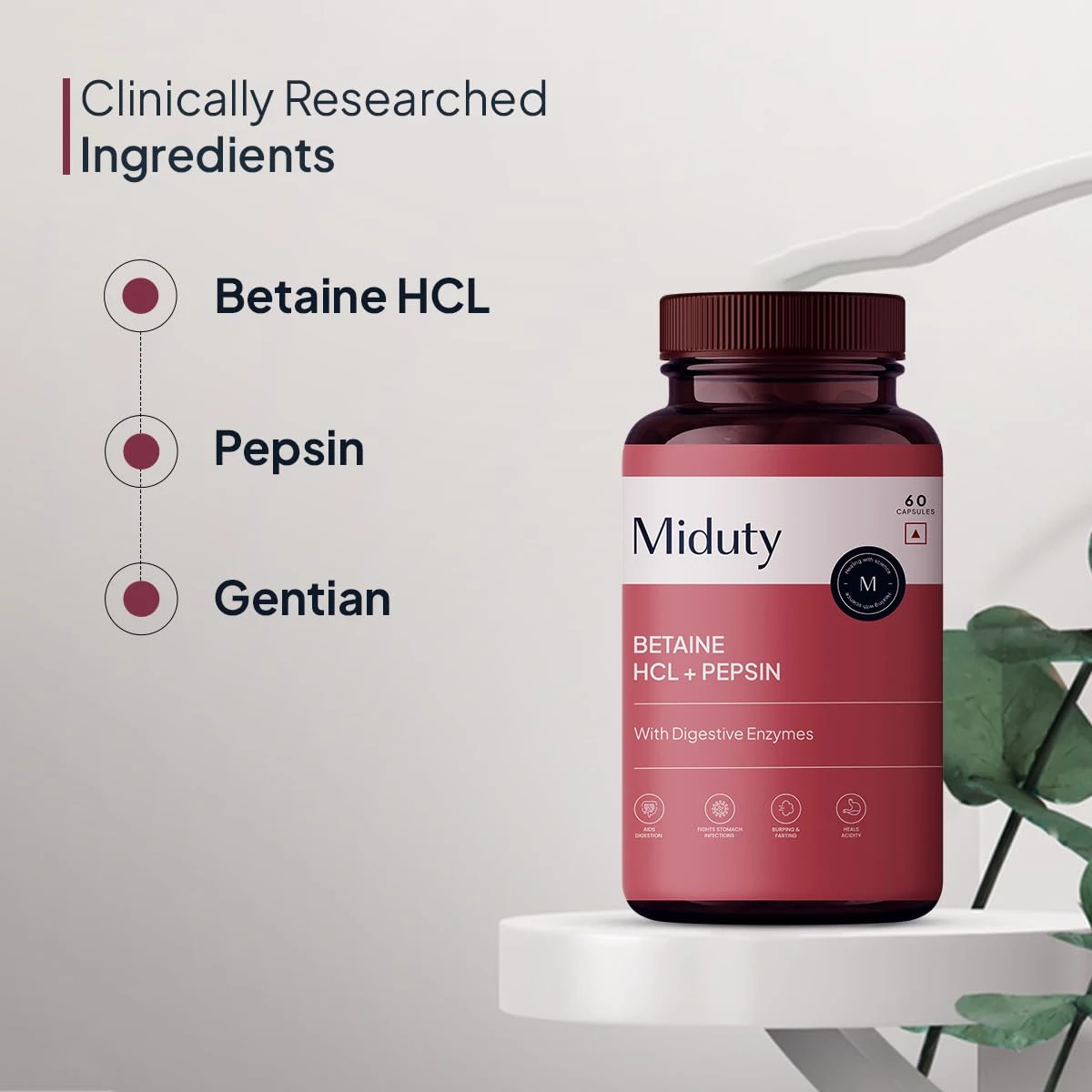 Miduty Betaine HCL + Pepsin Capsule - Image 3