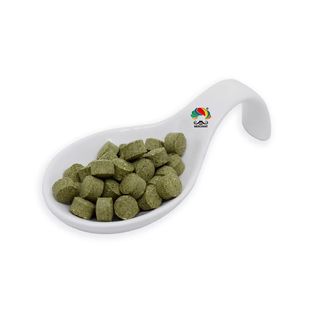 Mint-o-Magic (Pudina Vati)