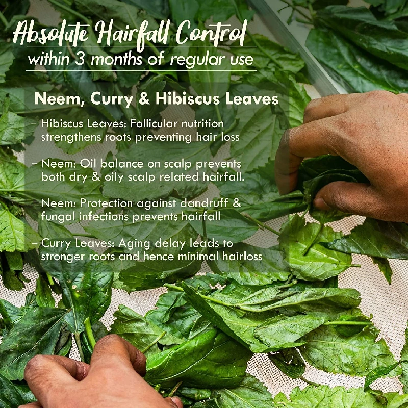 Nat Habit Back To Natural Secrets Everyday Dual Tooth Wooden Kacchi Neem Comb & Trileaf Dasabuti Hair Oil - Image 2