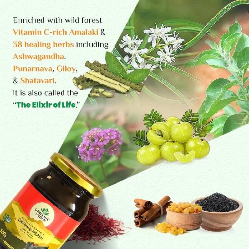 Organic India Organic Chyawanprash - Image 3
