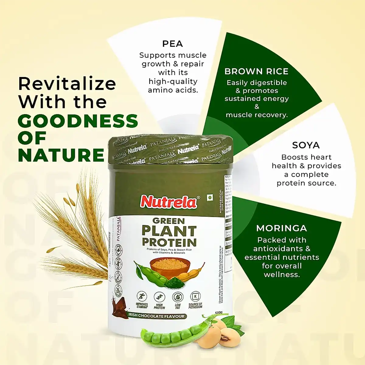 Patanjali-Nutrela-Green-Plant-Protein-500-g-3.webp