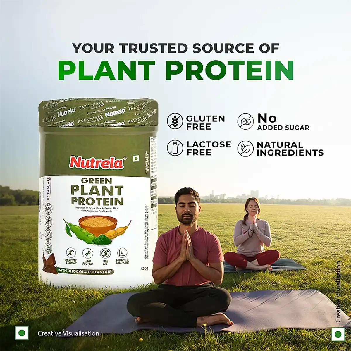 Patanjali-Nutrela-Green-Plant-Protein-500-g-4.webp