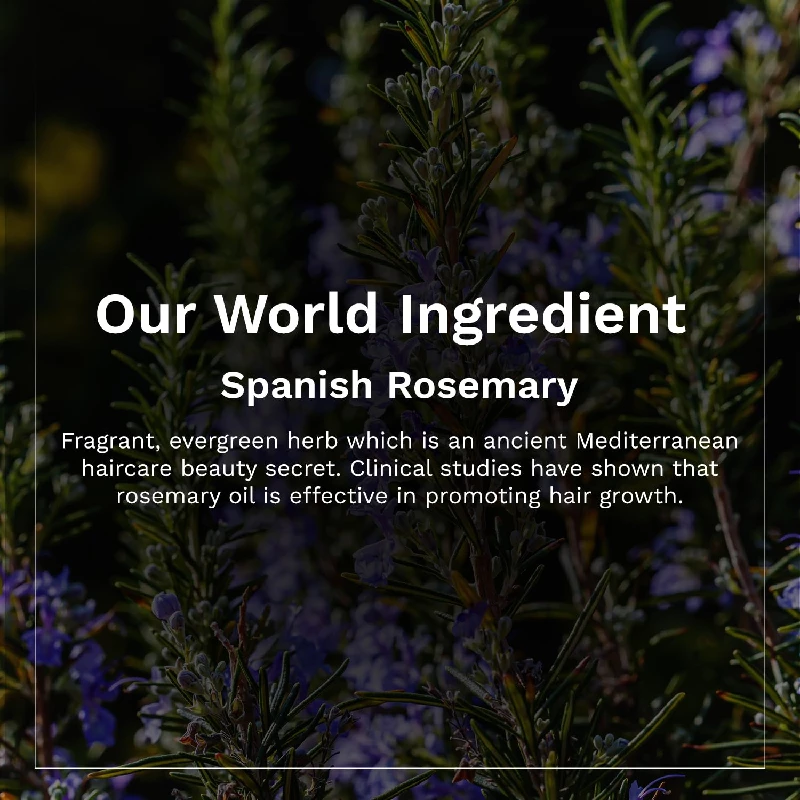 Pilgrim Spanish Rosemary & Biotin Anti Hairfall Shampoo - Image 7