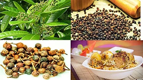 Premium Fresh Kabab Chini (Piper Cubeba Linn) - Image 2