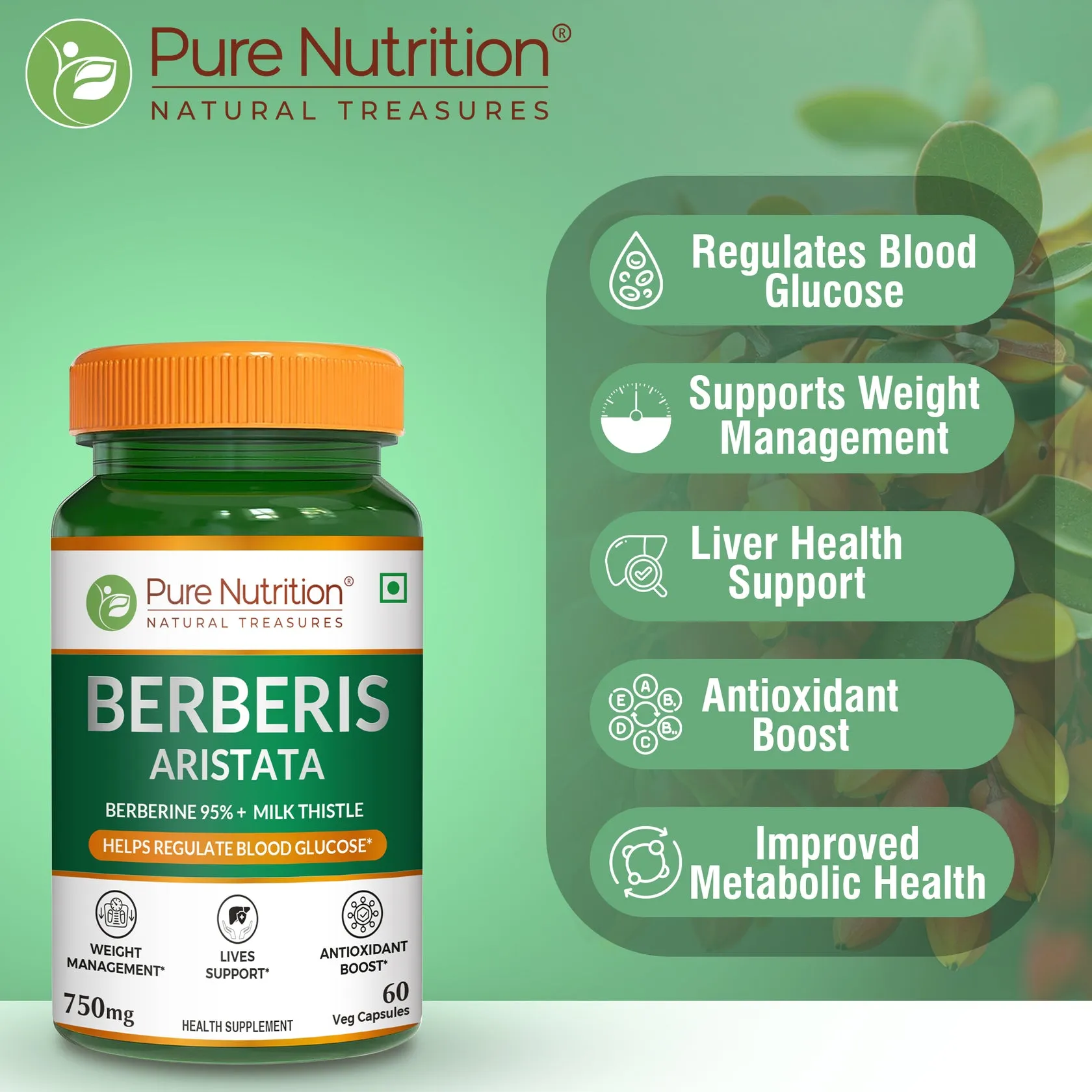 Pure Nutrition Berberis Aristata With Berberine 95% + Milk Thistle - Image 2