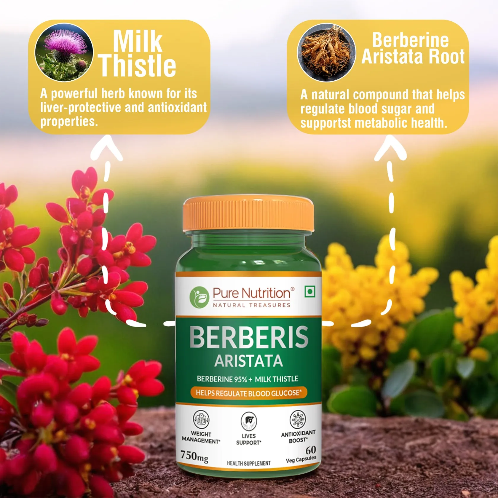 Pure Nutrition Berberis Aristata With Berberine 95% + Milk Thistle - Image 3