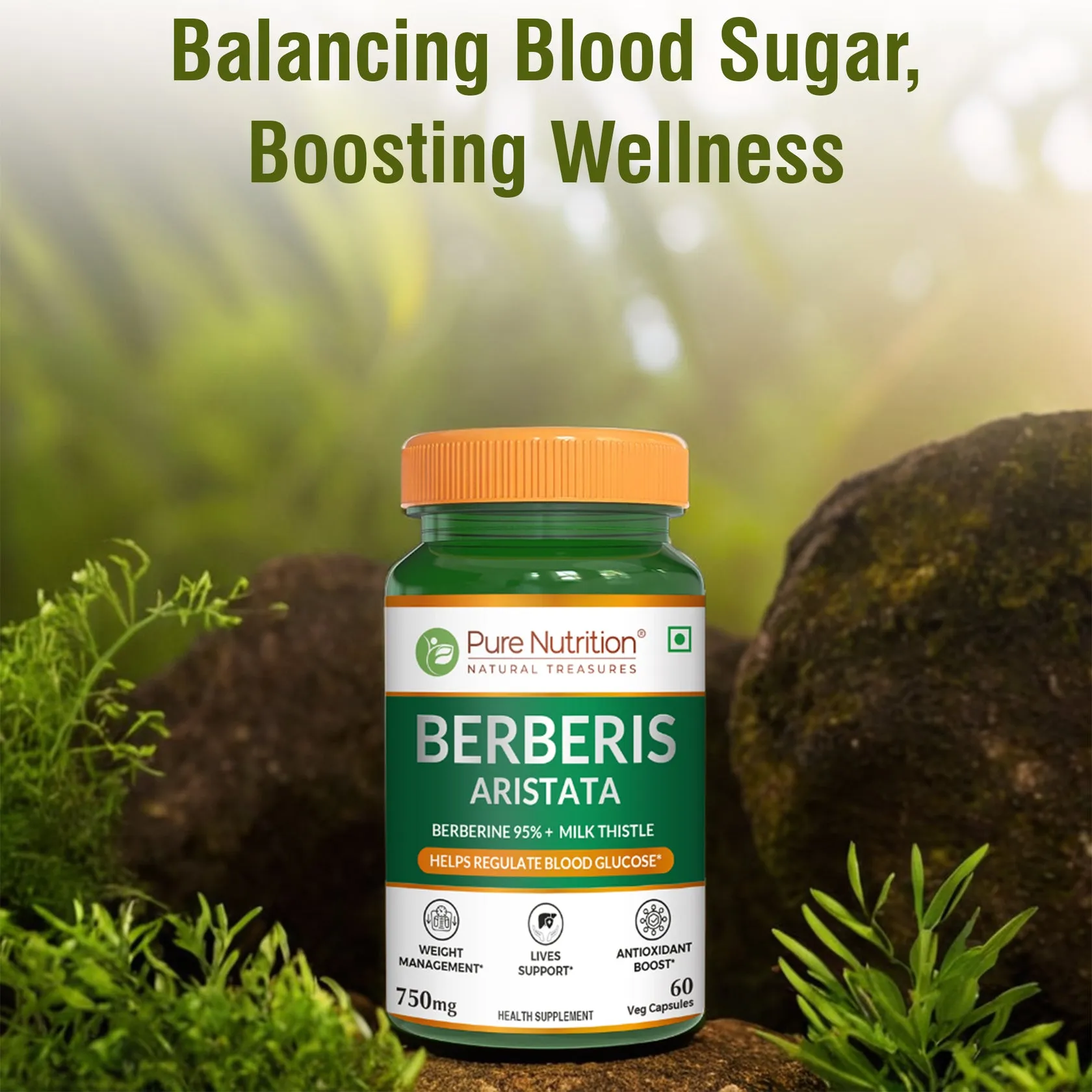 Pure Nutrition Berberis Aristata With Berberine 95% + Milk Thistle - Image 4