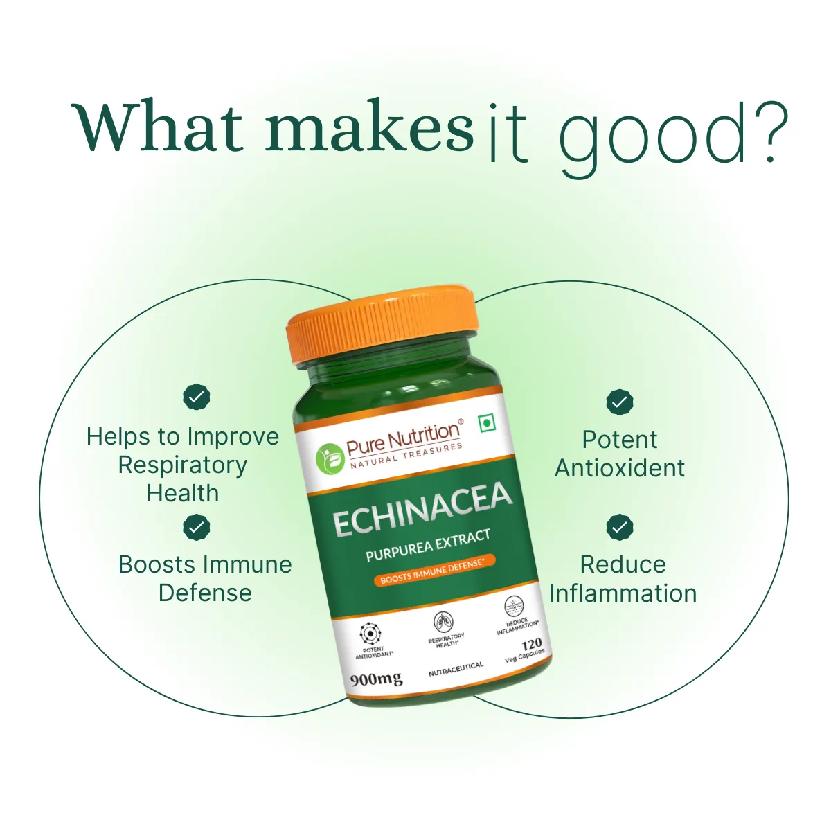 Pure Nutrition Echinacea Capsules - Image 2