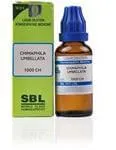 SBL Homeopathy Chimaphila Umbellata Dilution - Image 1