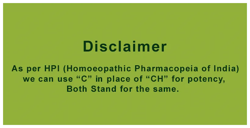 SBL Homeopathy Epiphegus Virginiana Dilution - Image 2