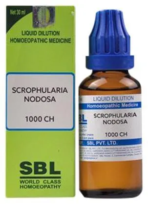 SBL-Homeopathy-Scrophularia-Nodosa-Dilution-1000-CH-30ml-1.webp