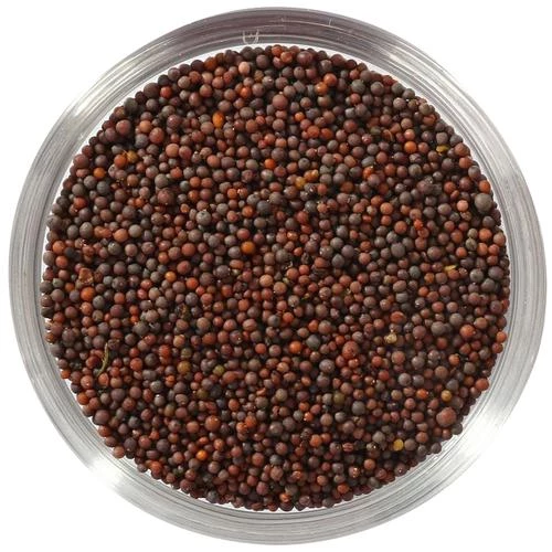 Salz & Aroma Mustard Seed - Image 7