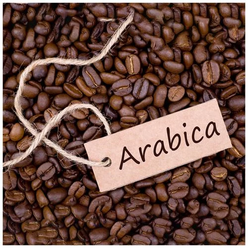 Sapphire Fine Instant Coffee - 100% Arabica - Image 6