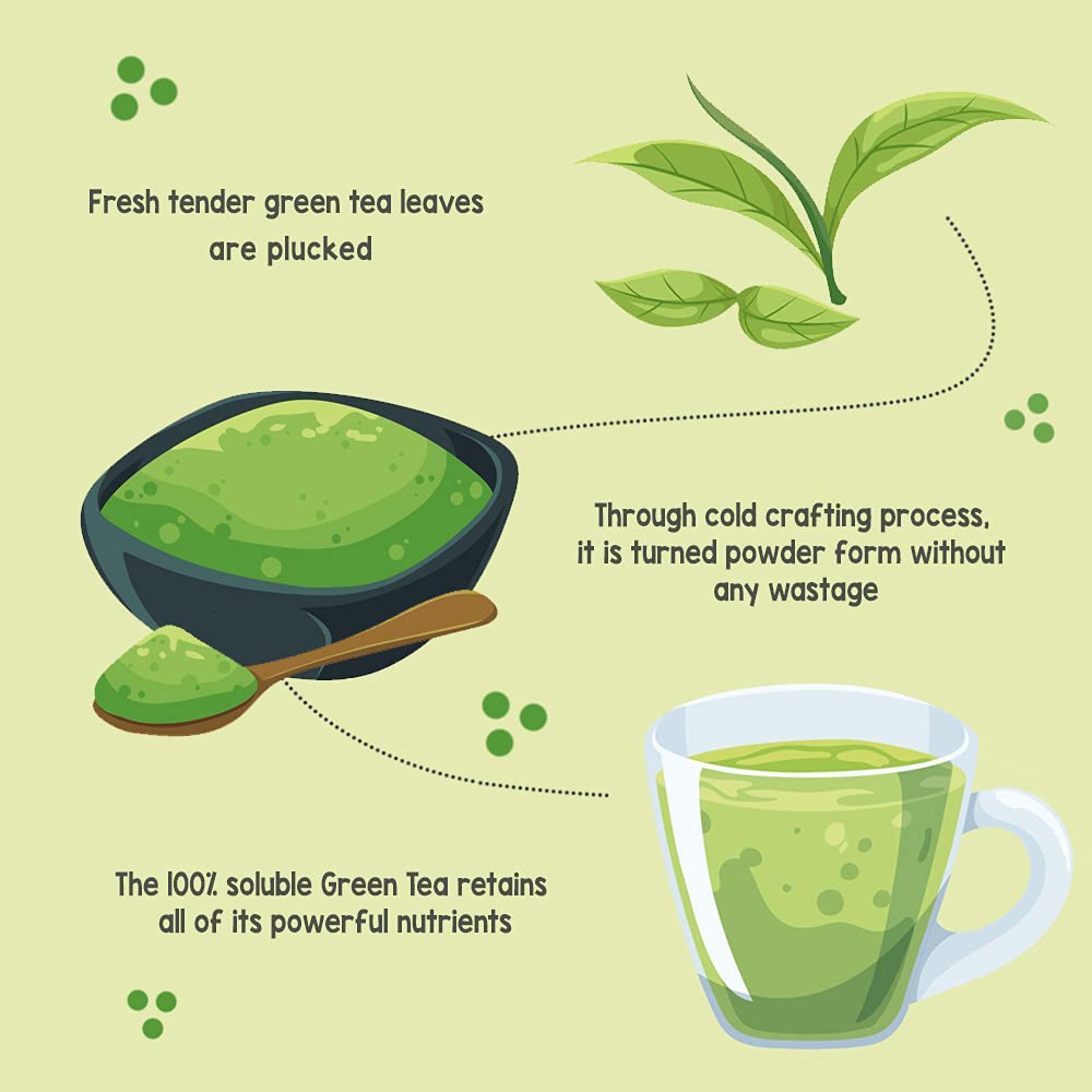 Sprig Golden Matcha Tea - Gourmet Green Tea - Image 3